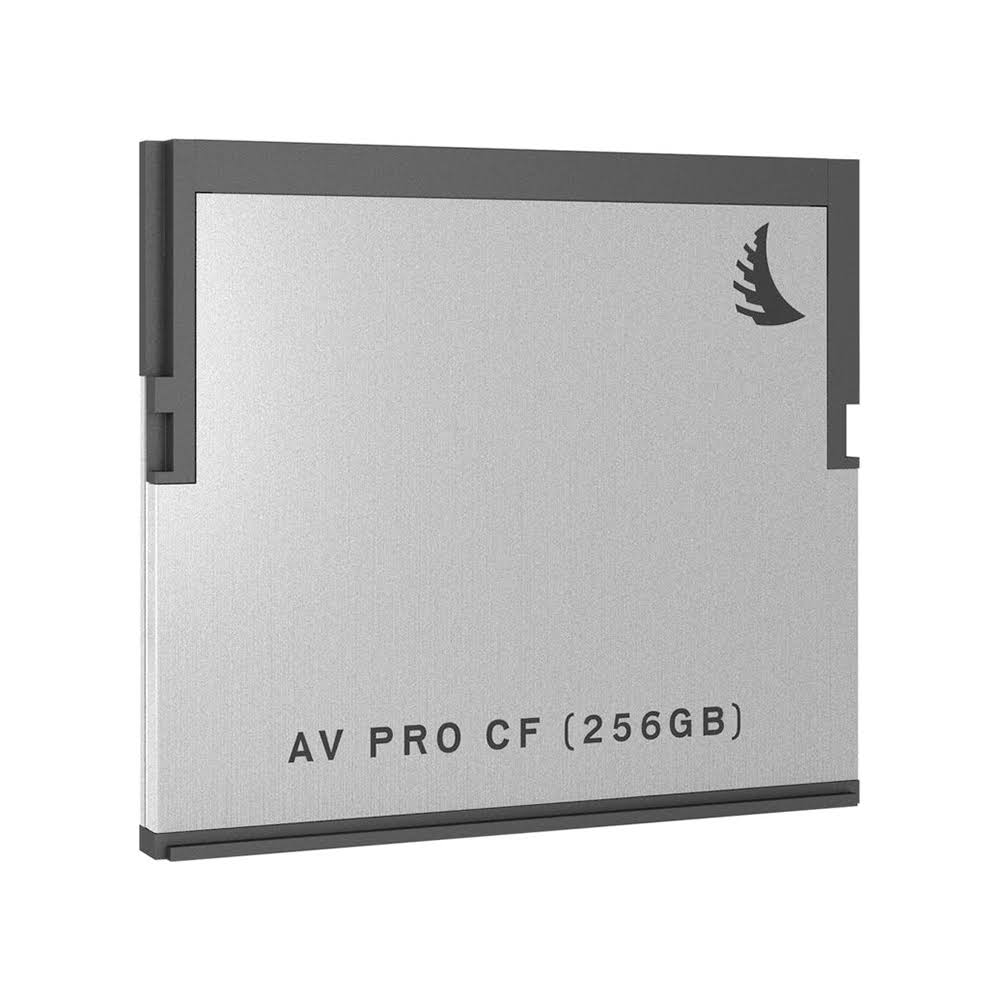 512GB CFast 2.0 Memory Card (2-Pack) U299052