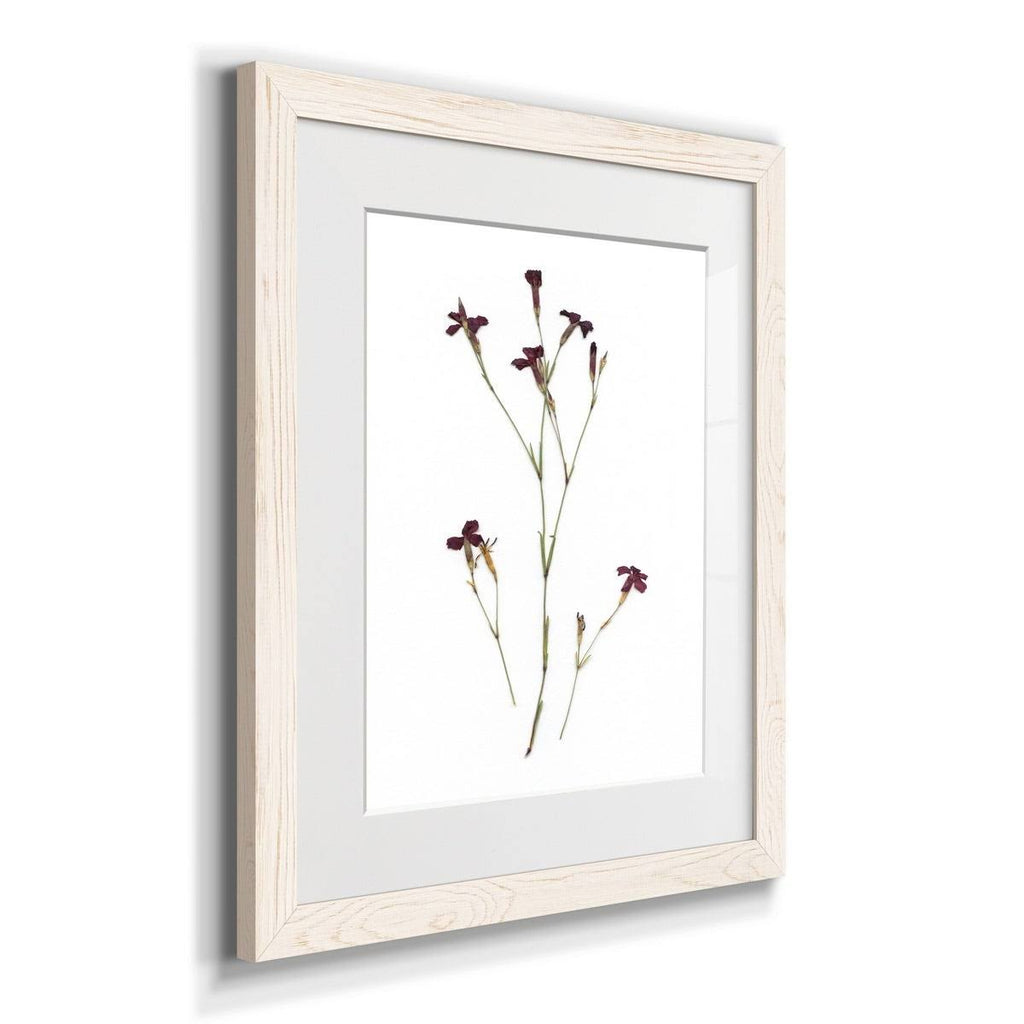 Framed Print - 27.5X37.5 - Walnut R7906