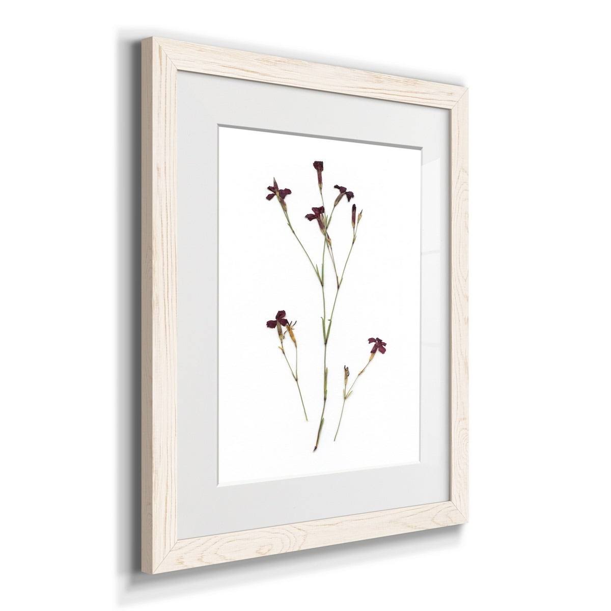 Framed Print - 27.5X37.5 - Walnut R7906