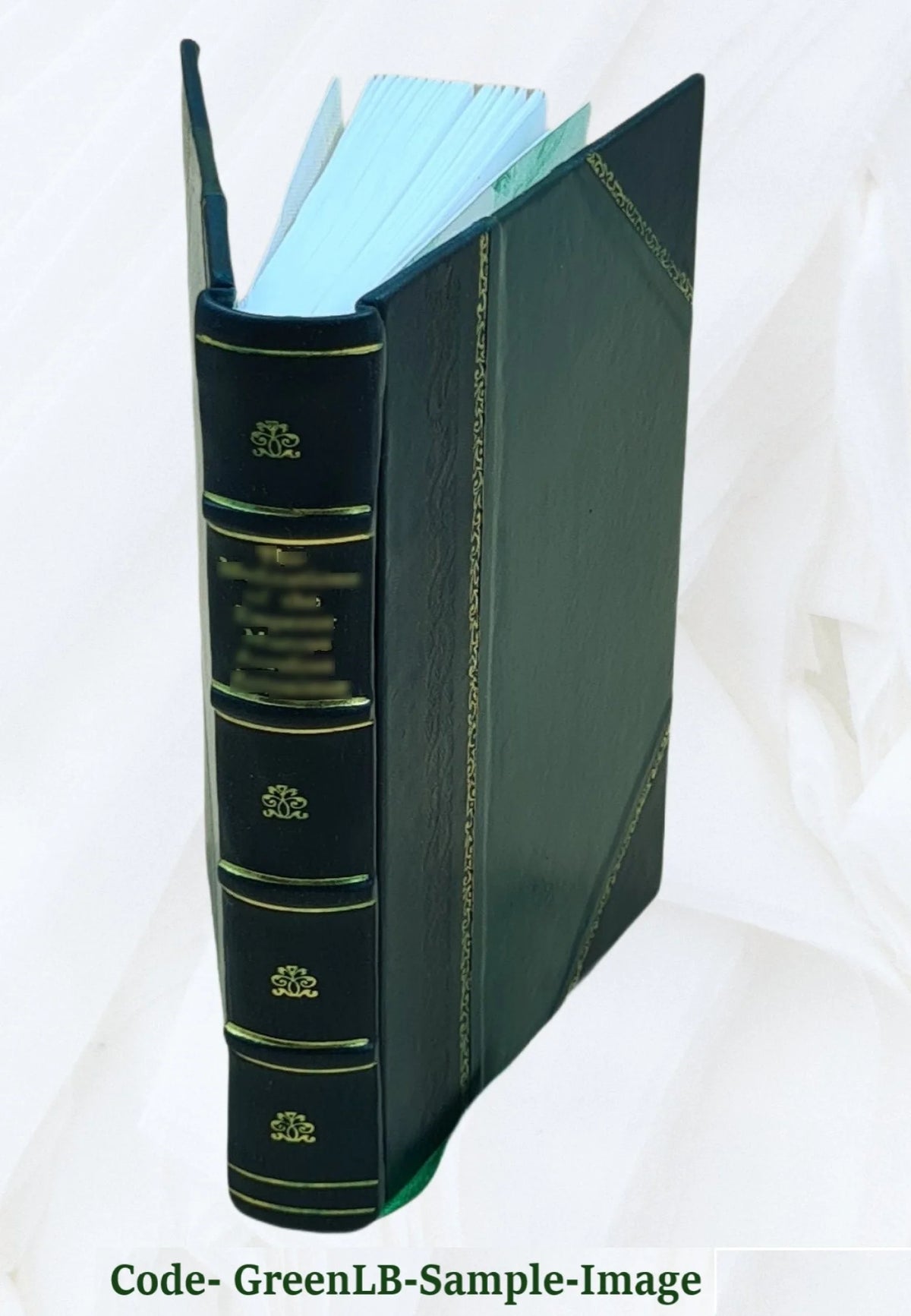 Leather Bound Report L430
