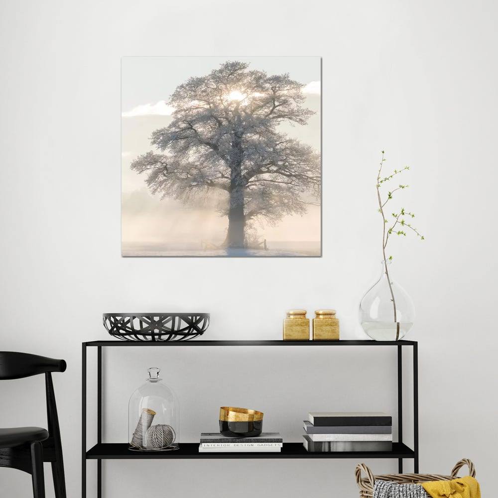 Canvas Art Picture - Winter King E94311