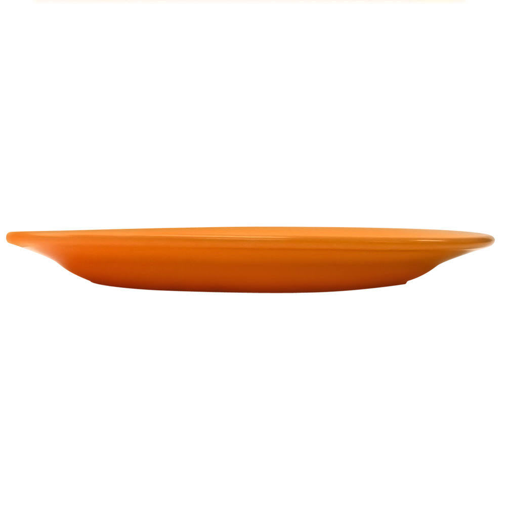 Orange Stoneware Wide Rim Platter U32084