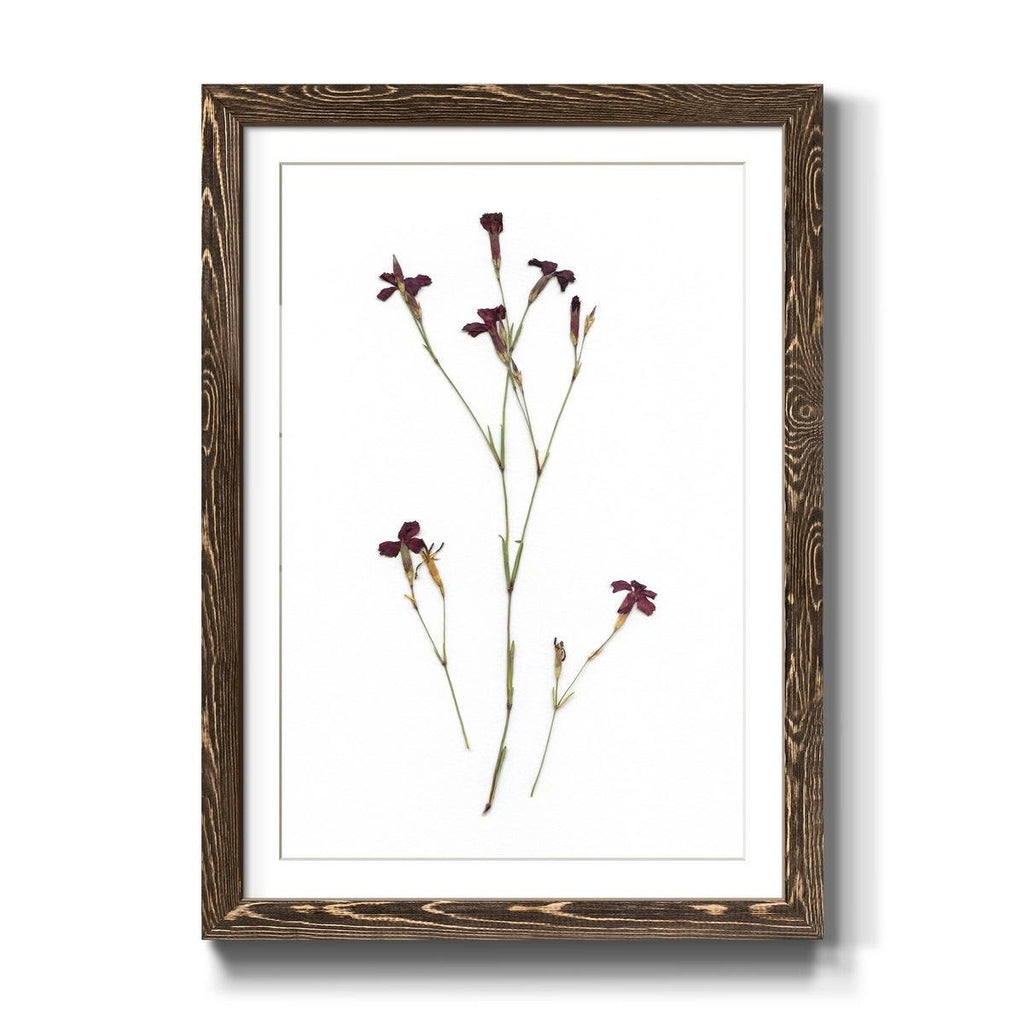 Framed Print - 27.5X37.5 - Walnut R7906