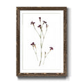Framed Print - 27.5X37.5 - Walnut R7906