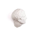 Discobolo Head K193