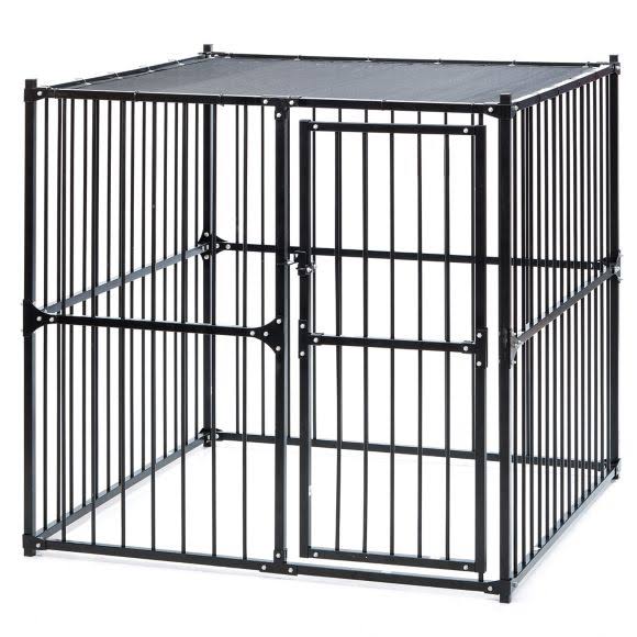 Black Dog Kennel Q211