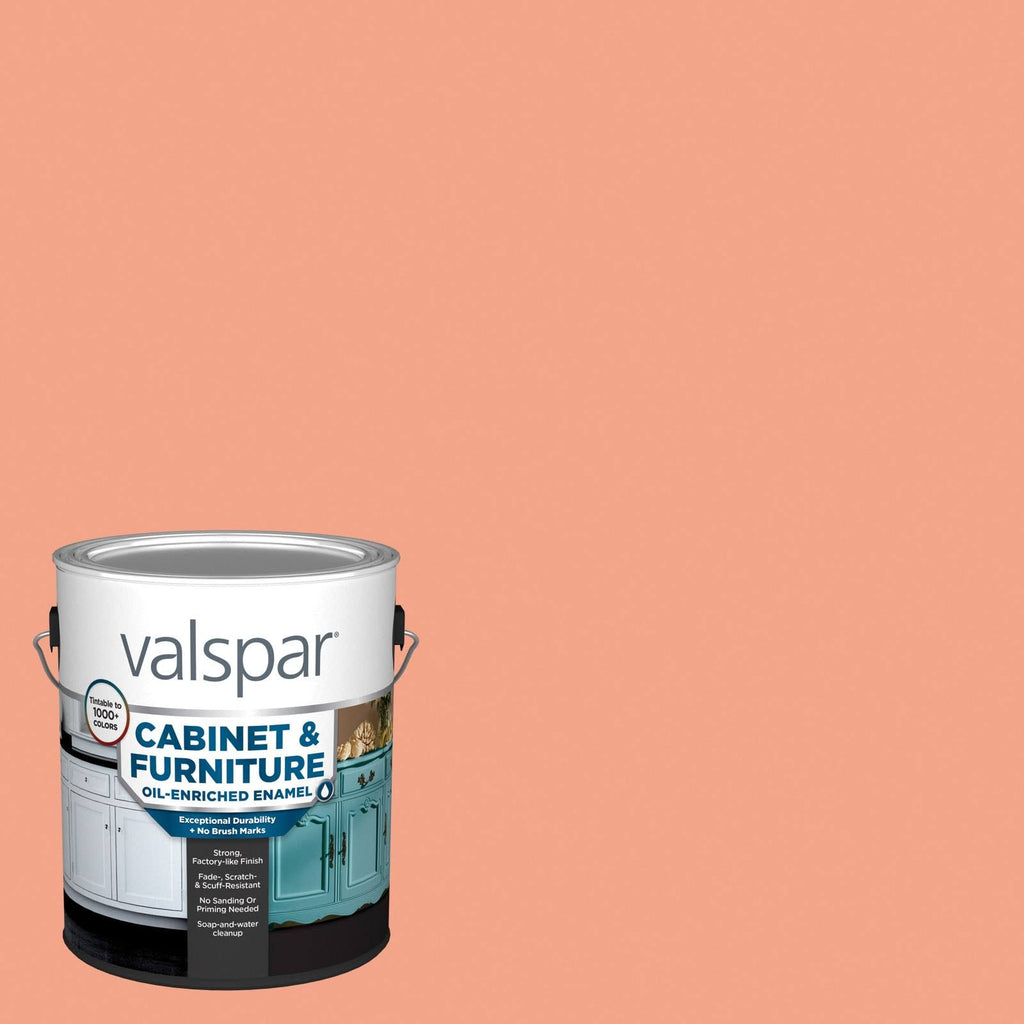Satin Apricot Jam Paint 1-Gallon S96484