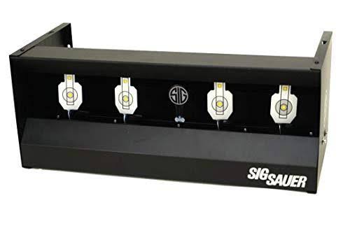 Quad Shooting Gallery Target D45334