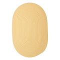 Pale Banana 2 ft. x 7 ft. Runner Rug A676