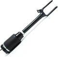 Front Air Suspension Shock Absorber Strut B816
