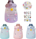 Purple Big Belly Water Bottle with Straw S323319