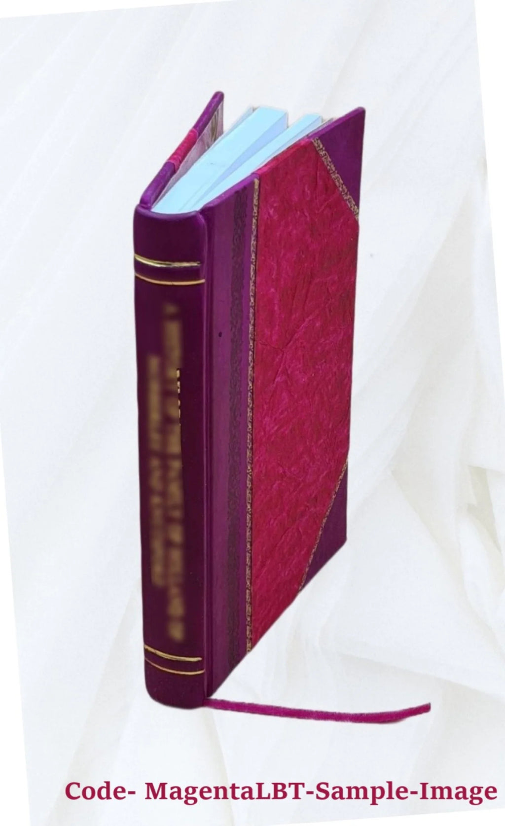 Leather Bound Book Z36680