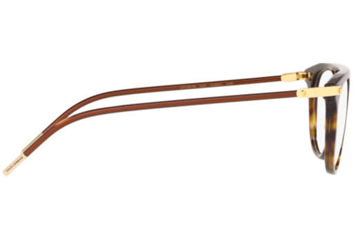 Havana Sunglasses G912
