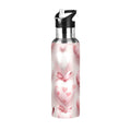 Insulated Thermos Stainless Steel Water Bottle with Straw Lid, 20 oz G7525