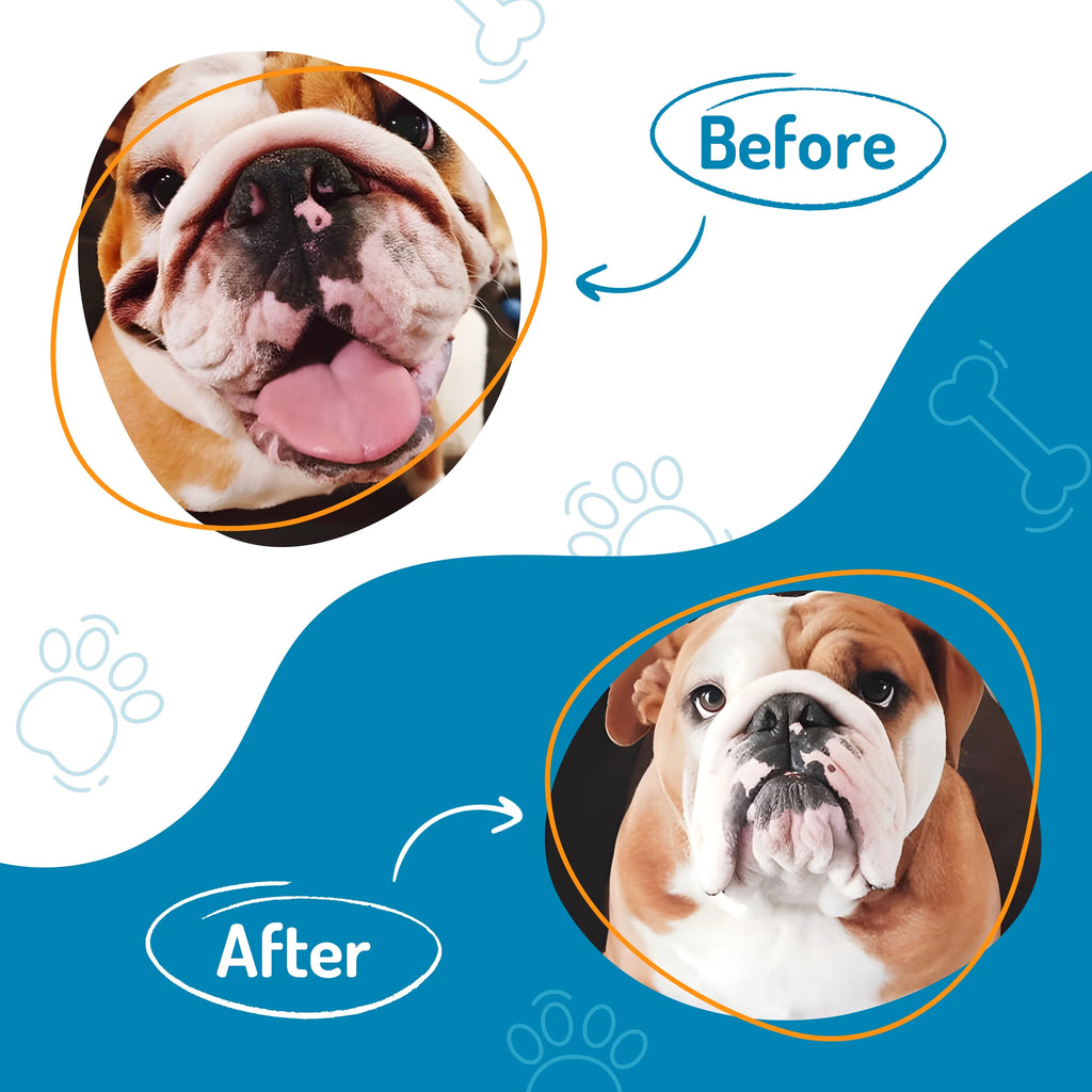 100 Count Dog Wrinkle Wipes for French Bulldog, English Bulldog, Pugs P166531