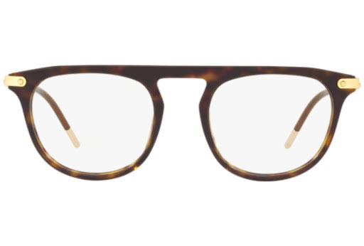Havana Sunglasses G912