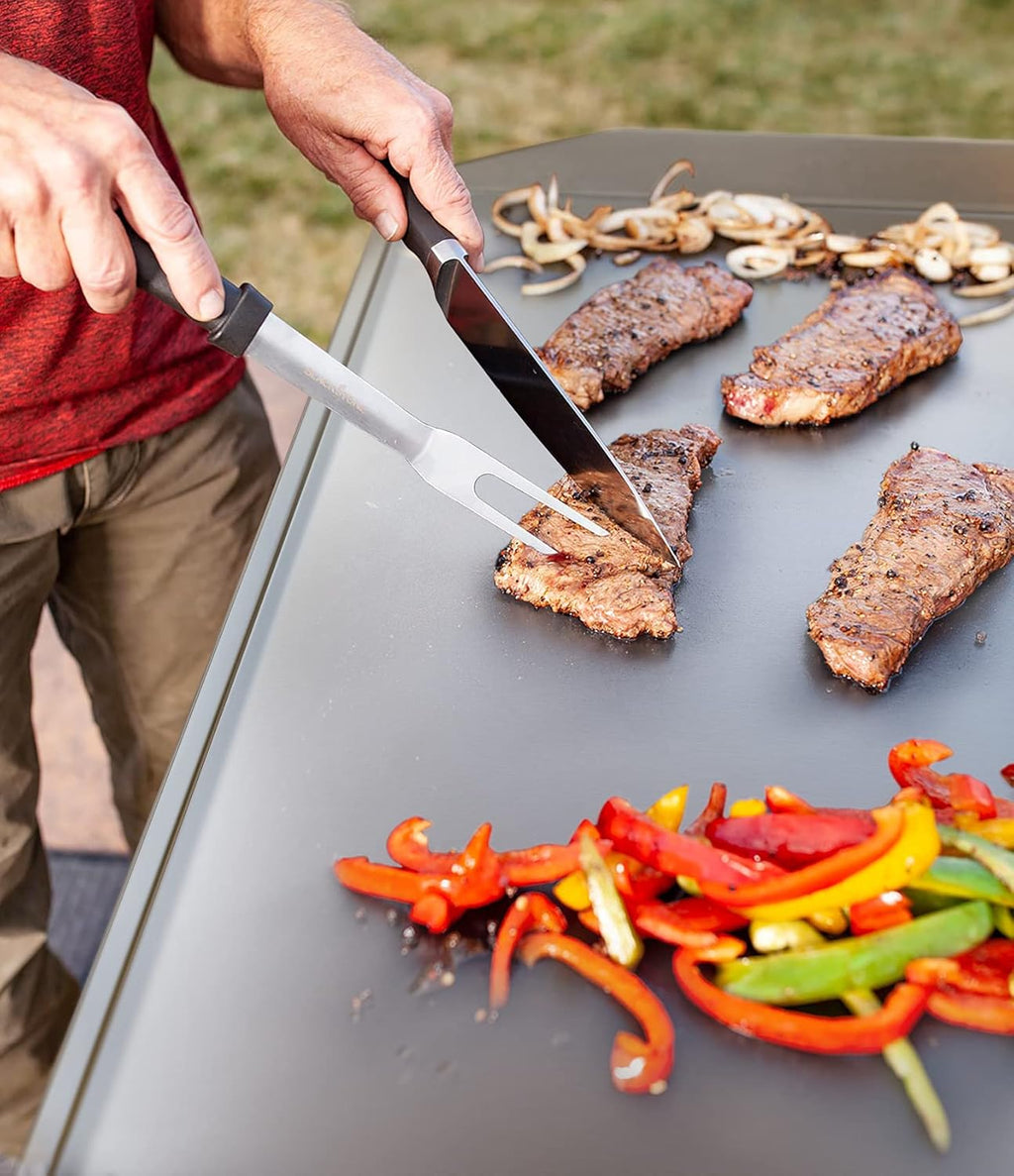 22 Inch Stainless Steel Table Top Gas Grill Griddle for 2 Burners Portable Propane Fueled Grill U4887