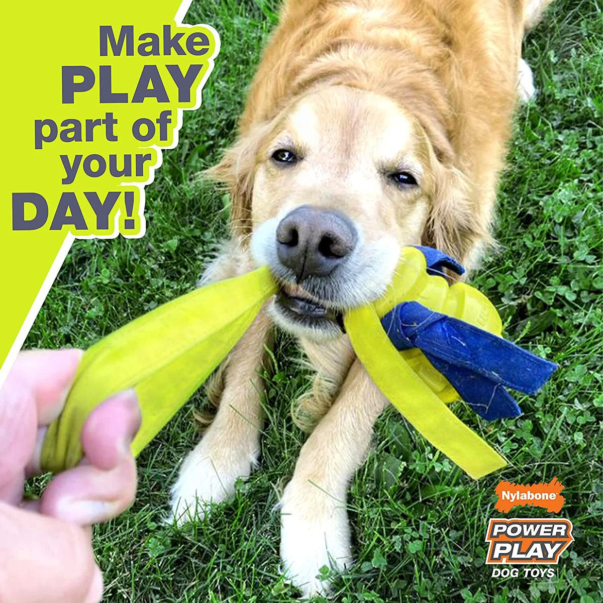Dog Fetch Toys Fling-a-Bounce Medium - 10 in. Y261694