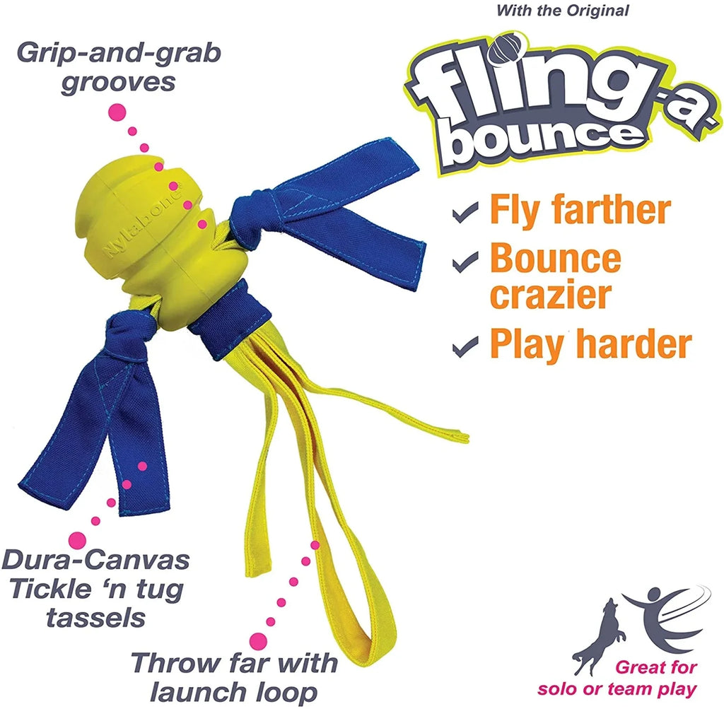 Dog Fetch Toys Fling-a-Bounce Medium - 10 in. Y261694