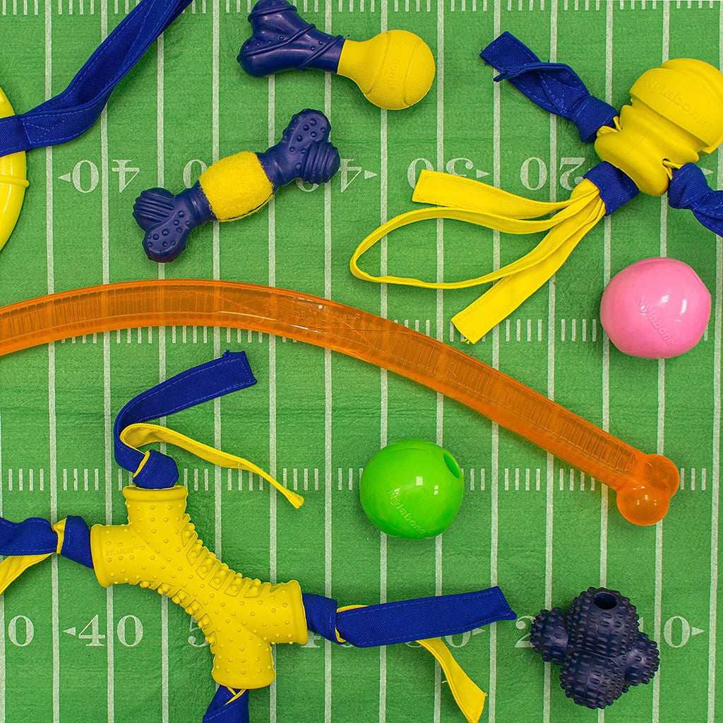 Dog Fetch Toys Fling-a-Bounce Medium - 10 in. Y261694