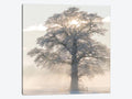 Canvas Art Picture - Winter King E94311