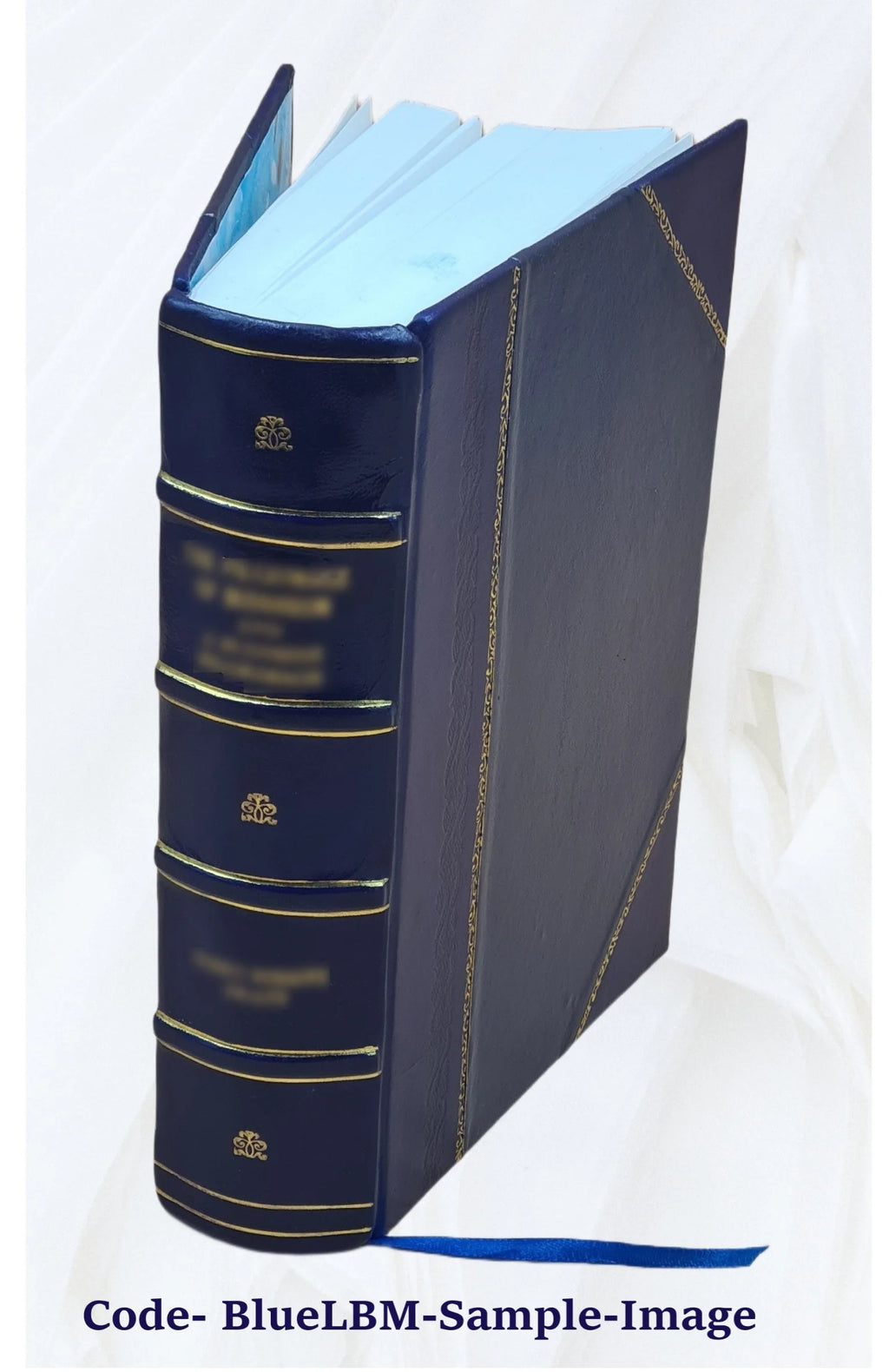 Leather Bound Book Z8259