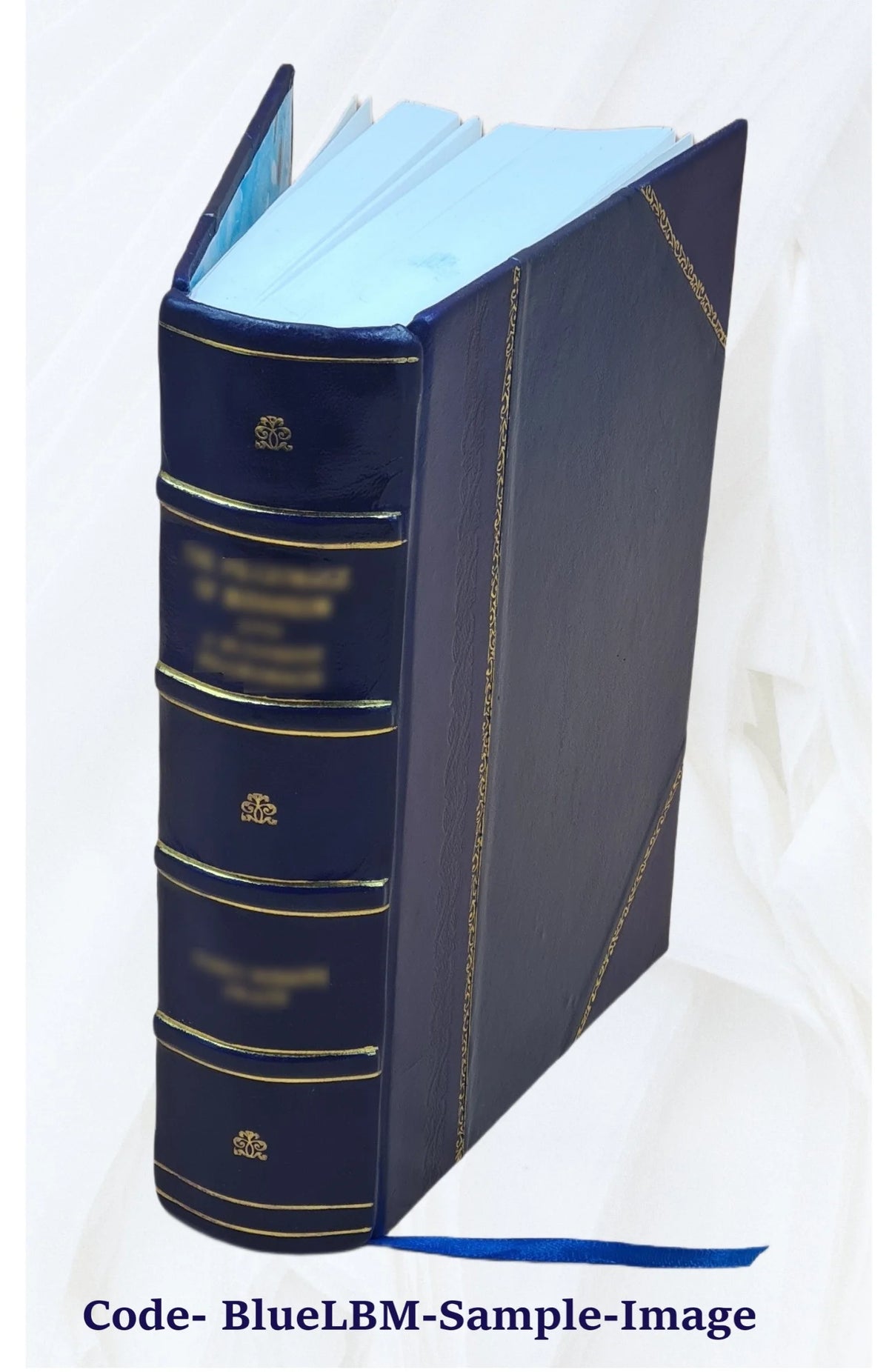 Leather Bound Book Z8259