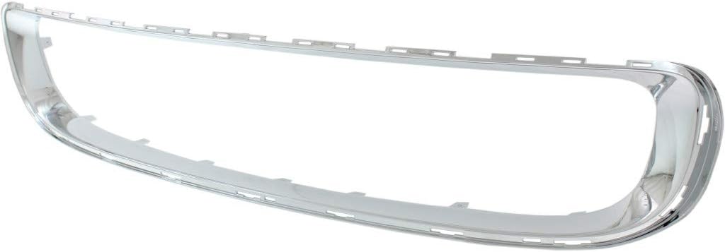 Mini Cooper Grille Trim P38838