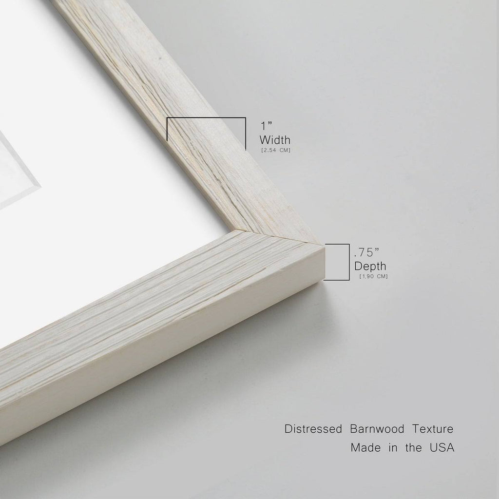 Framed Print - 27.5X37.5 - Walnut R7906