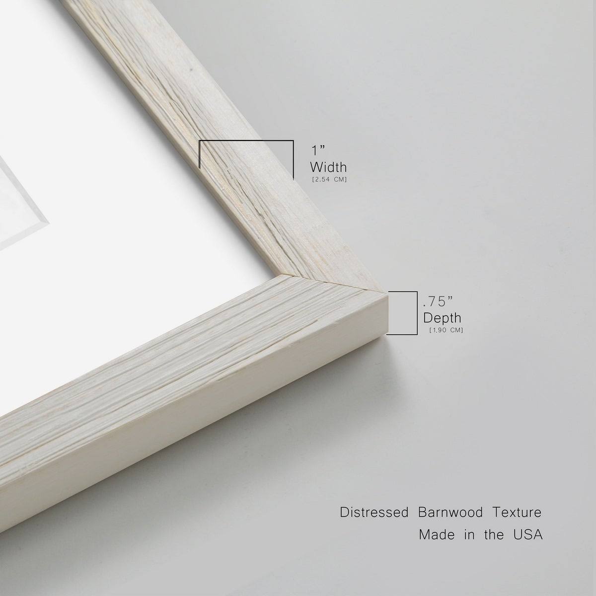 Framed Print - 27.5X37.5 - Walnut R7906