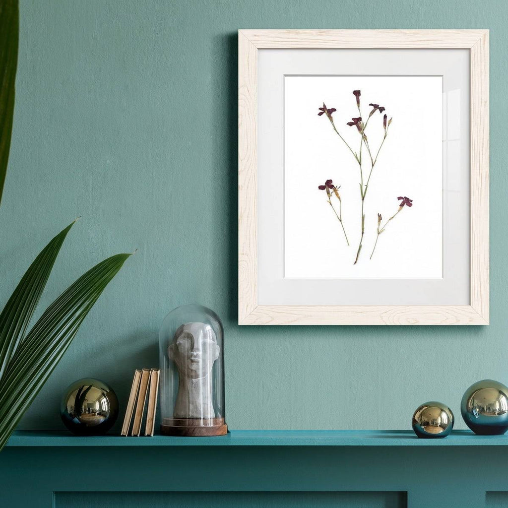 Framed Print - 27.5X37.5 - Walnut R7906