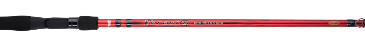 Spinning Rod N6488