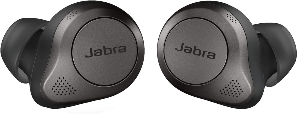 Titanium Black True Wireless Bluetooth Earbuds with Charging Case C8651