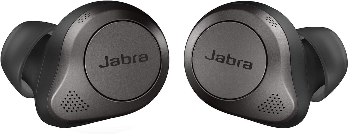 Titanium Black True Wireless Bluetooth Earbuds with Charging Case C8651