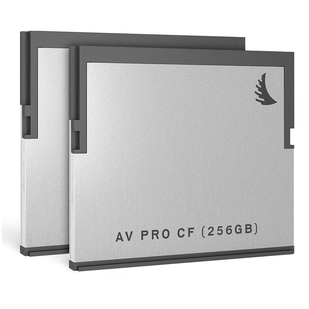 512GB CFast 2.0 Memory Card (2-Pack) U299052