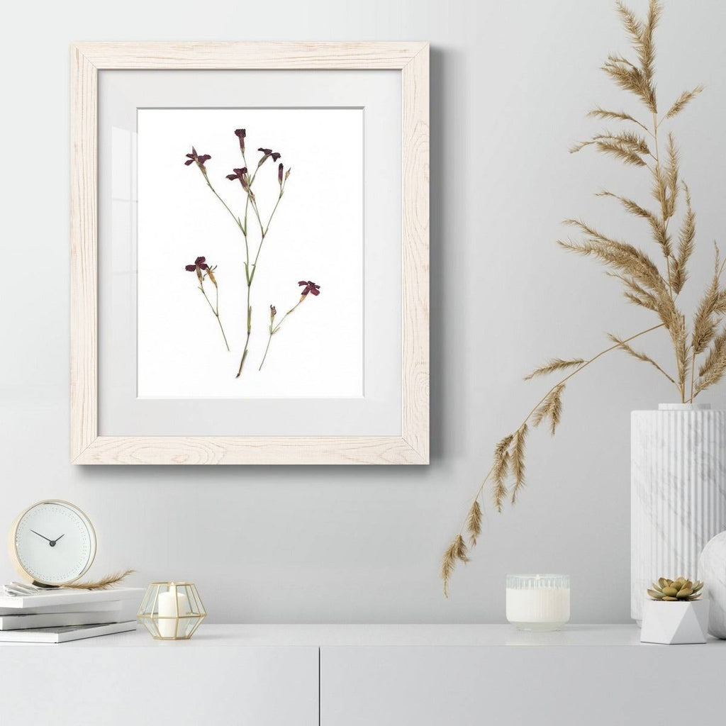 Framed Print - 27.5X37.5 - Walnut R7906