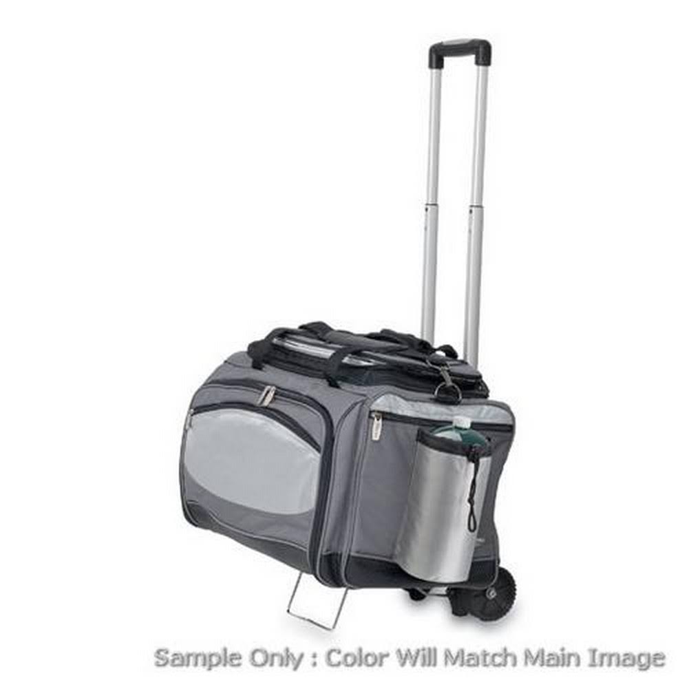 Vulcan Cooler and Propane Gas Grill G646