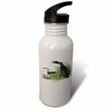 21 oz Sports Water Bottle Y89824