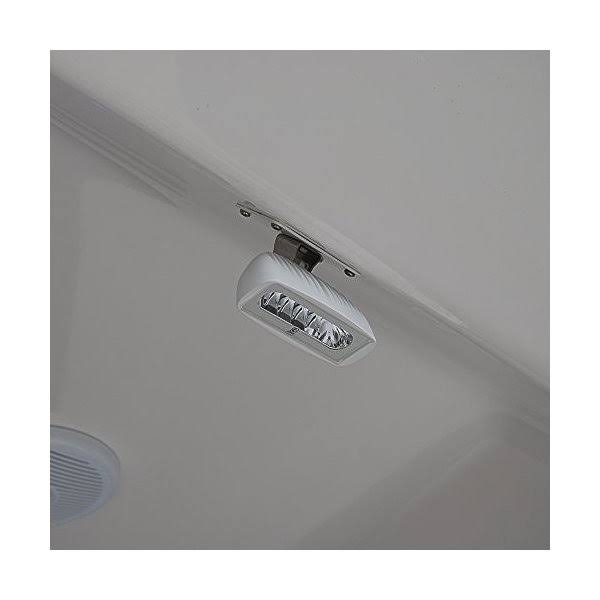 White/Blue LED Flood Light C156769