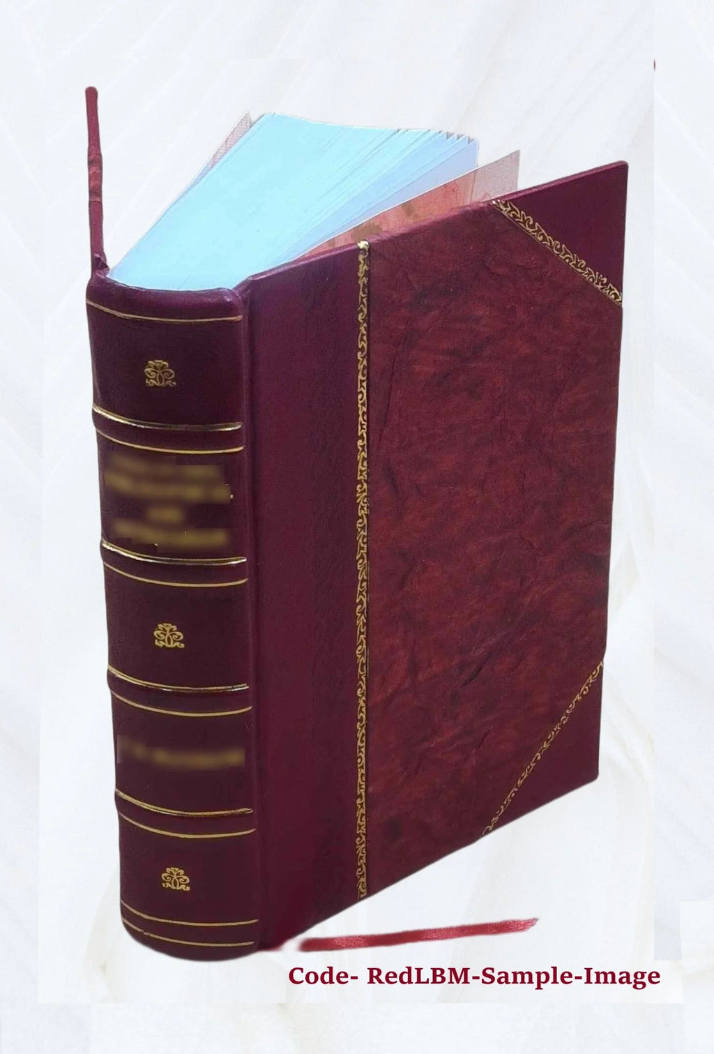 Leather Bound Book Z8259