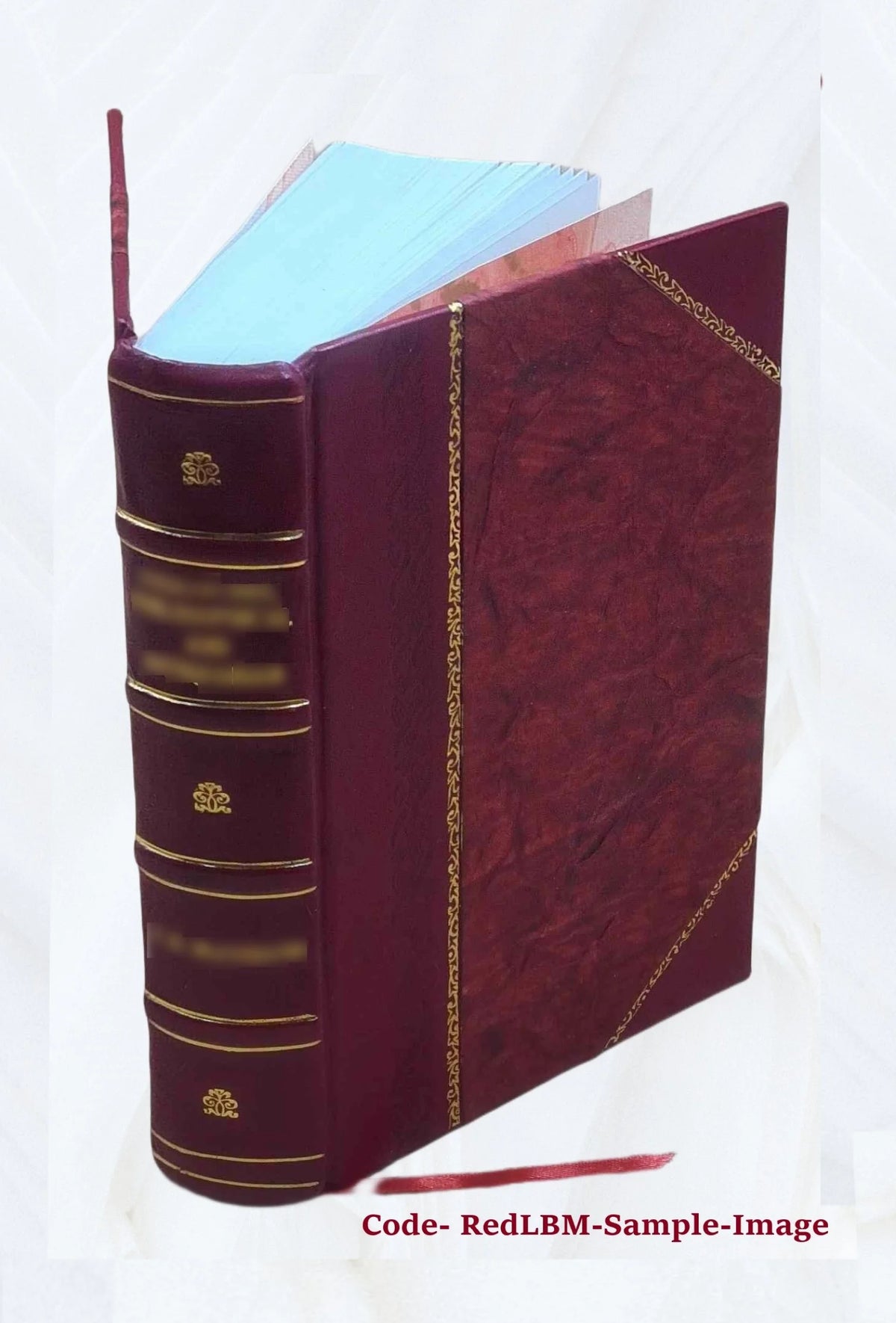 Leather Bound Book Z8259