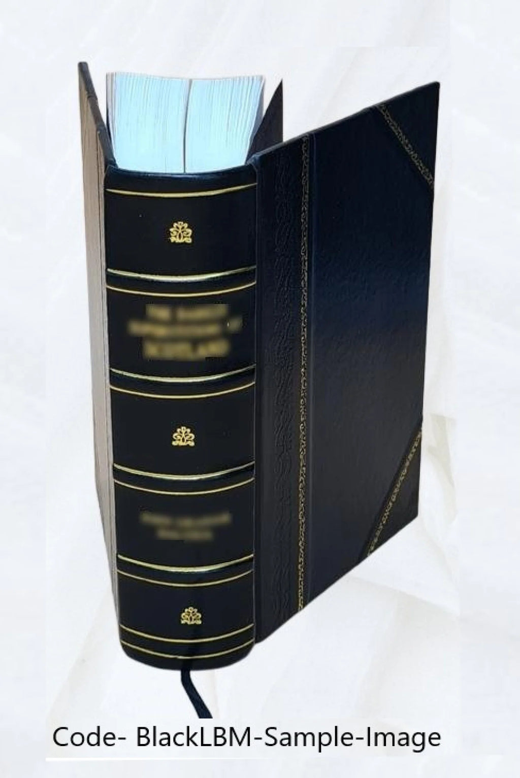 Leather Bound Book Z8259