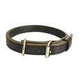 Canine Collar 18 LNG P814668