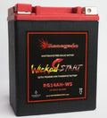 Replacement Battery for Sportsman 570 T676