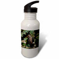 21 oz Sports Water Bottle E6710