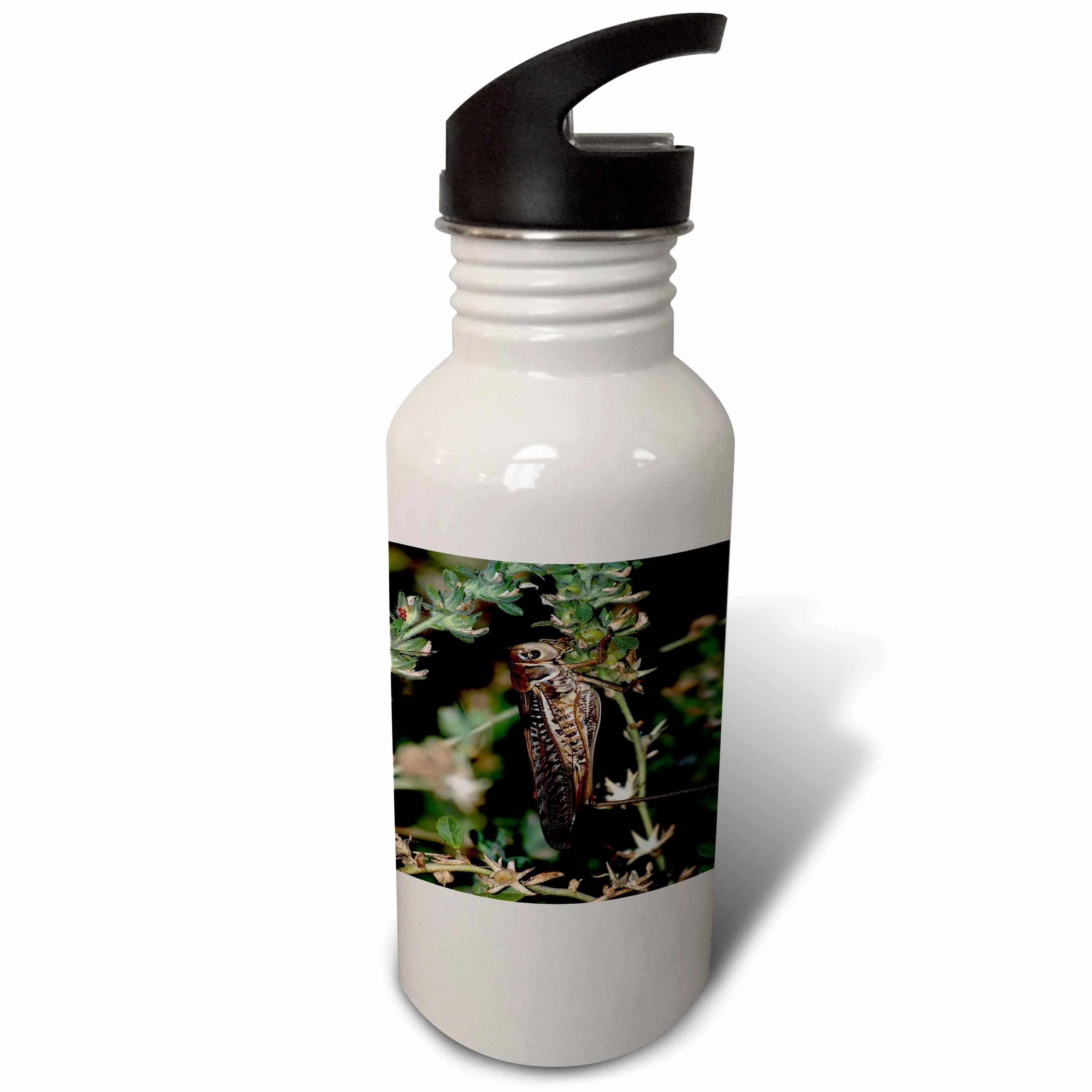 21 oz Sports Water Bottle E6710
