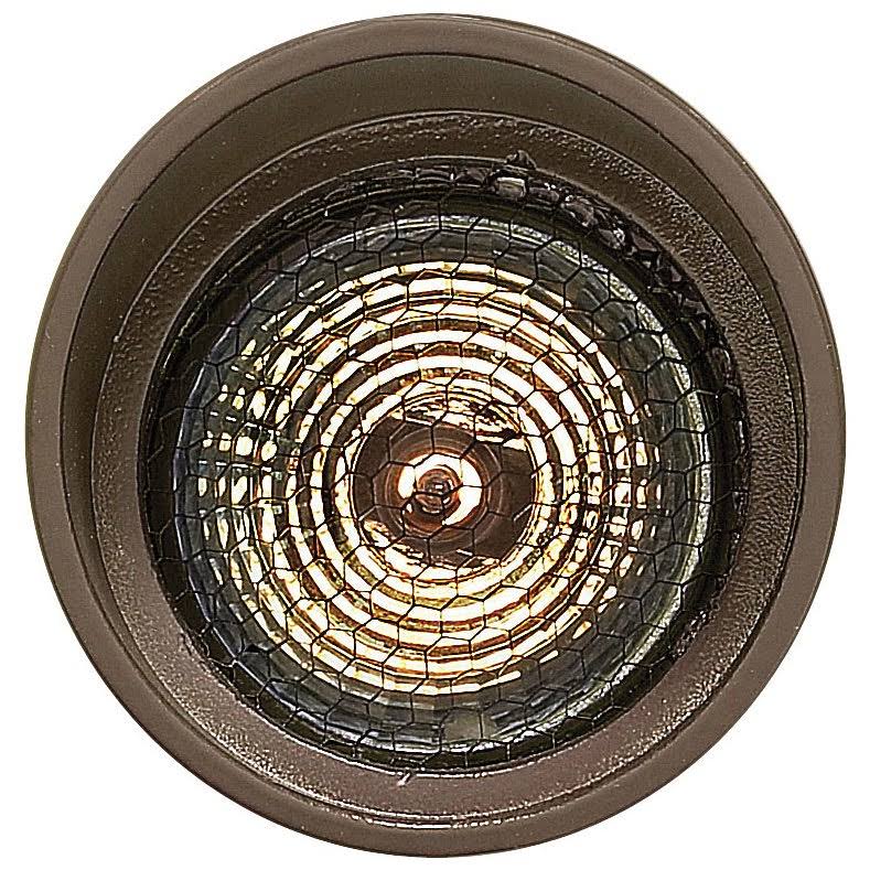 Bronze Landscape Accent Light N787