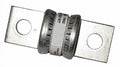 110 Amp Slow Blow Fuse Y274483