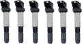 Set of 6 Ignition Coil Pack N502006