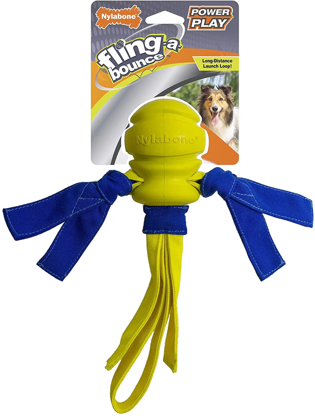 Dog Fetch Toys Fling-a-Bounce Medium - 10 in. Y261694